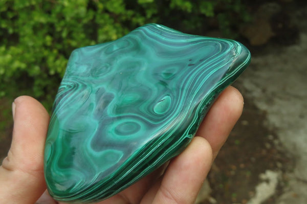 Polished Flower Banded Malachite Free Forms x 4 From Congo - Toprock Gemstones and Minerals 