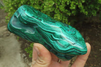 Polished Flower Banded Malachite Free Forms x 4 From Congo - Toprock Gemstones and Minerals 