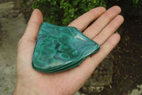 Polished Flower Banded Malachite Free Forms x 4 From Congo - Toprock Gemstones and Minerals 