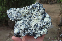 Natural Schorl Black Tourmaline With Feldspar Specimen x 1 From Namibia - Toprock Gemstones and Minerals 