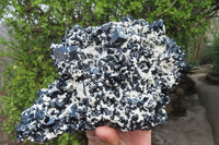 Natural Schorl Black Tourmaline With Feldspar Specimen x 1 From Namibia - Toprock Gemstones and Minerals 