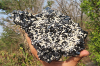 Natural Schorl Black Tourmaline With Feldspar Specimen x 1 From Namibia - Toprock Gemstones and Minerals 