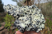 Natural Schorl Black Tourmaline With Feldspar Specimen x 1 From Namibia - Toprock Gemstones and Minerals 