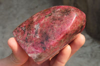 Polished Rhodonite Standing Free Form x 1 From Zimbabwe - Toprock Gemstones and Minerals 