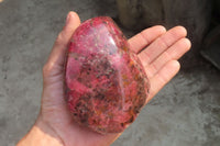 Polished Rhodonite Standing Free Form x 1 From Zimbabwe - Toprock Gemstones and Minerals 