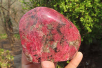 Polished Rhodonite Standing Free Form x 1 From Zimbabwe - Toprock Gemstones and Minerals 