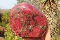 Polished Rhodonite Standing Free Form x 1 From Zimbabwe - Toprock Gemstones and Minerals 