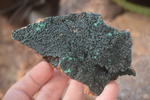 Natural Crystalline Malachite Specimens x 6 From Kasompe, Congo - Toprock Gemstones and Minerals 