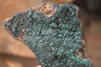 Natural Crystalline Malachite Specimens x 6 From Kasompe, Congo - Toprock Gemstones and Minerals 