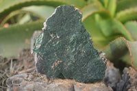 Natural Crystalline Malachite Specimens x 6 From Kasompe, Congo - Toprock Gemstones and Minerals 