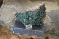Natural Crystalline Malachite Specimens x 6 From Kasompe, Congo - Toprock Gemstones and Minerals 