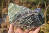 Natural Watermelon Fluorite Specimens x 2 From Namibia - Toprock Gemstones and Minerals 