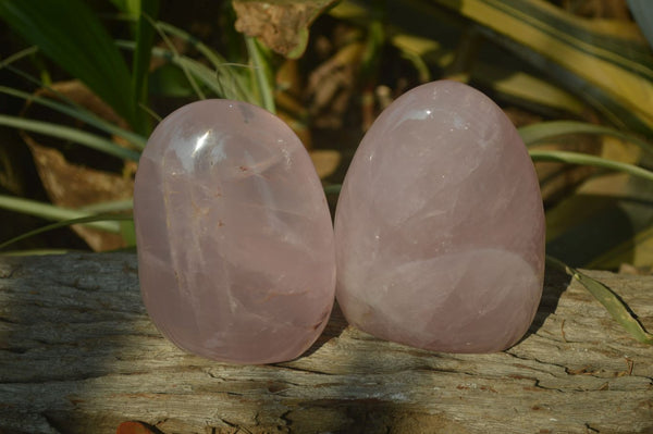 Polished Rose Quartz Standing Free Forms x 2 From Madagascar - Toprock Gemstones and Minerals 