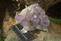 Natural Jacaranda Amethyst Quartz Clusters x 2 from Mumbwa, Zambia - Toprock Gemstones and Minerals 