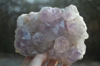 Natural Jacaranda Amethyst Quartz Clusters x 2 from Mumbwa, Zambia - Toprock Gemstones and Minerals 