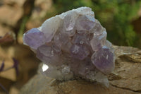 Natural Jacaranda Amethyst Quartz Clusters x 2 from Mumbwa, Zambia - Toprock Gemstones and Minerals 