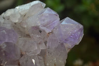 Natural Jacaranda Amethyst Quartz Clusters x 2 from Mumbwa, Zambia - Toprock Gemstones and Minerals 