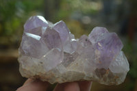Natural Jacaranda Amethyst Quartz Clusters x 2 from Mumbwa, Zambia - Toprock Gemstones and Minerals 