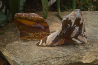 Polished On One Side Nguni Jasper Specimens x 2 From Prieska, South Africa - Toprock Gemstones and Minerals 