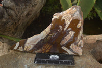Polished On One Side Nguni Jasper Specimens x 2 From Prieska, South Africa - Toprock Gemstones and Minerals 