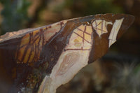 Polished On One Side Nguni Jasper Specimens x 2 From Prieska, South Africa - Toprock Gemstones and Minerals 