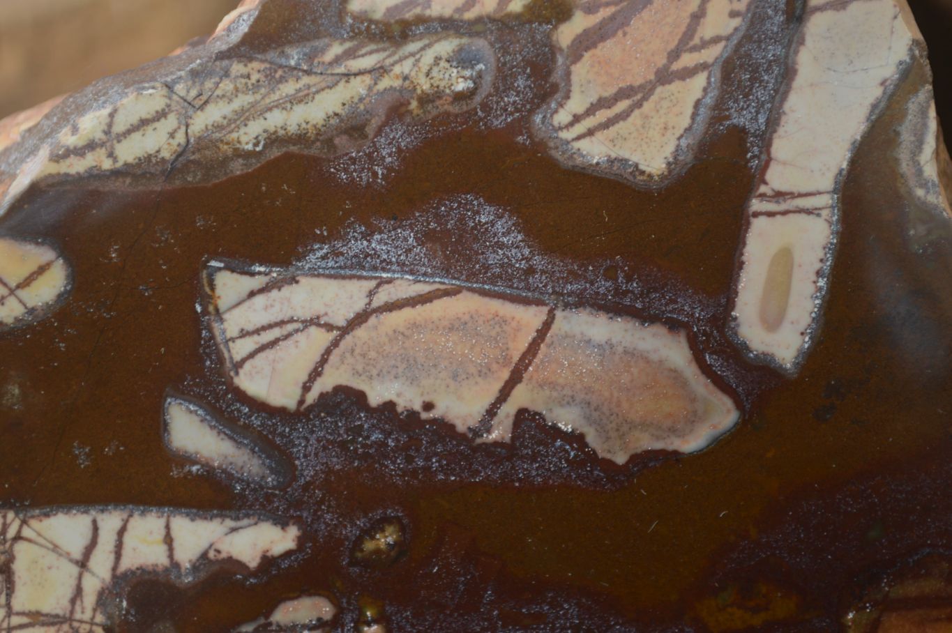 Polished On One Side Nguni Jasper Specimens x 2 From Prieska, South Africa - Toprock Gemstones and Minerals 