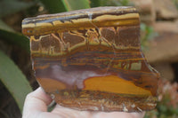 Polished On One Side Nguni Jasper Specimens x 2 From Prieska, South Africa - Toprock Gemstones and Minerals 