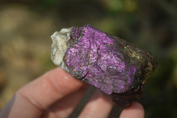 Natural Metallic Purpurite Cobbed Specimens x 12 From Erongo, Namibia - Toprock Gemstones and Minerals 