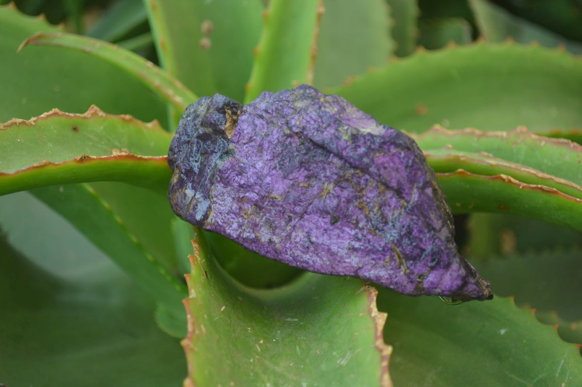 Natural Metallic Purpurite Cobbed Specimens x 12 From Erongo, Namibia - Toprock Gemstones and Minerals 