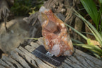 Natural Red Hematoid Quartz Crystal Specimens x 3 From Zimbabwe - Toprock Gemstones and Minerals 