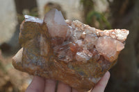 Natural Red Hematoid Quartz Crystal Specimens x 3 From Zimbabwe - Toprock Gemstones and Minerals 