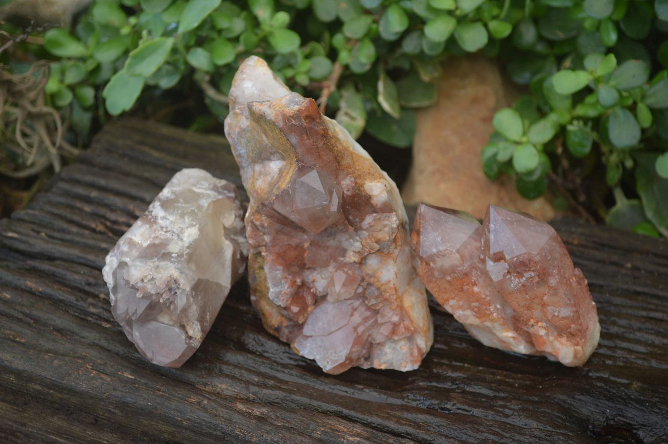 Natural Red Hematoid Quartz Crystal Specimens x 3 From Zimbabwe - Toprock Gemstones and Minerals 