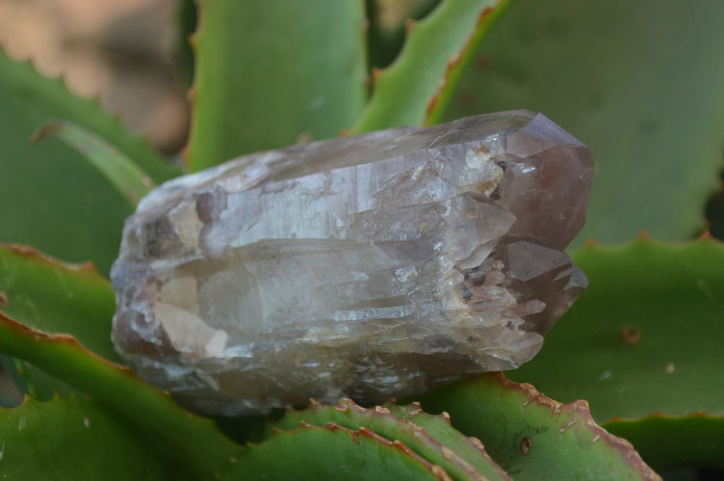 Natural Red Hematoid Quartz Crystal Specimens x 3 From Zimbabwe - Toprock Gemstones and Minerals 
