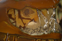 Polished On One Side Nguni Jasper Specimens x 2 From Prieska, South Africa - Toprock Gemstones and Minerals 