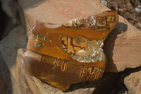 Polished On One Side Nguni Jasper Specimens x 2 From Prieska, South Africa - Toprock Gemstones and Minerals 