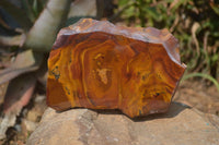 Polished On One Side Nguni Jasper Specimens x 2 From Prieska, South Africa - Toprock Gemstones and Minerals 
