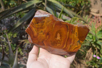 Polished On One Side Nguni Jasper Specimens x 2 From Prieska, South Africa - Toprock Gemstones and Minerals 
