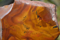 Polished On One Side Nguni Jasper Specimens x 2 From Prieska, South Africa - Toprock Gemstones and Minerals 