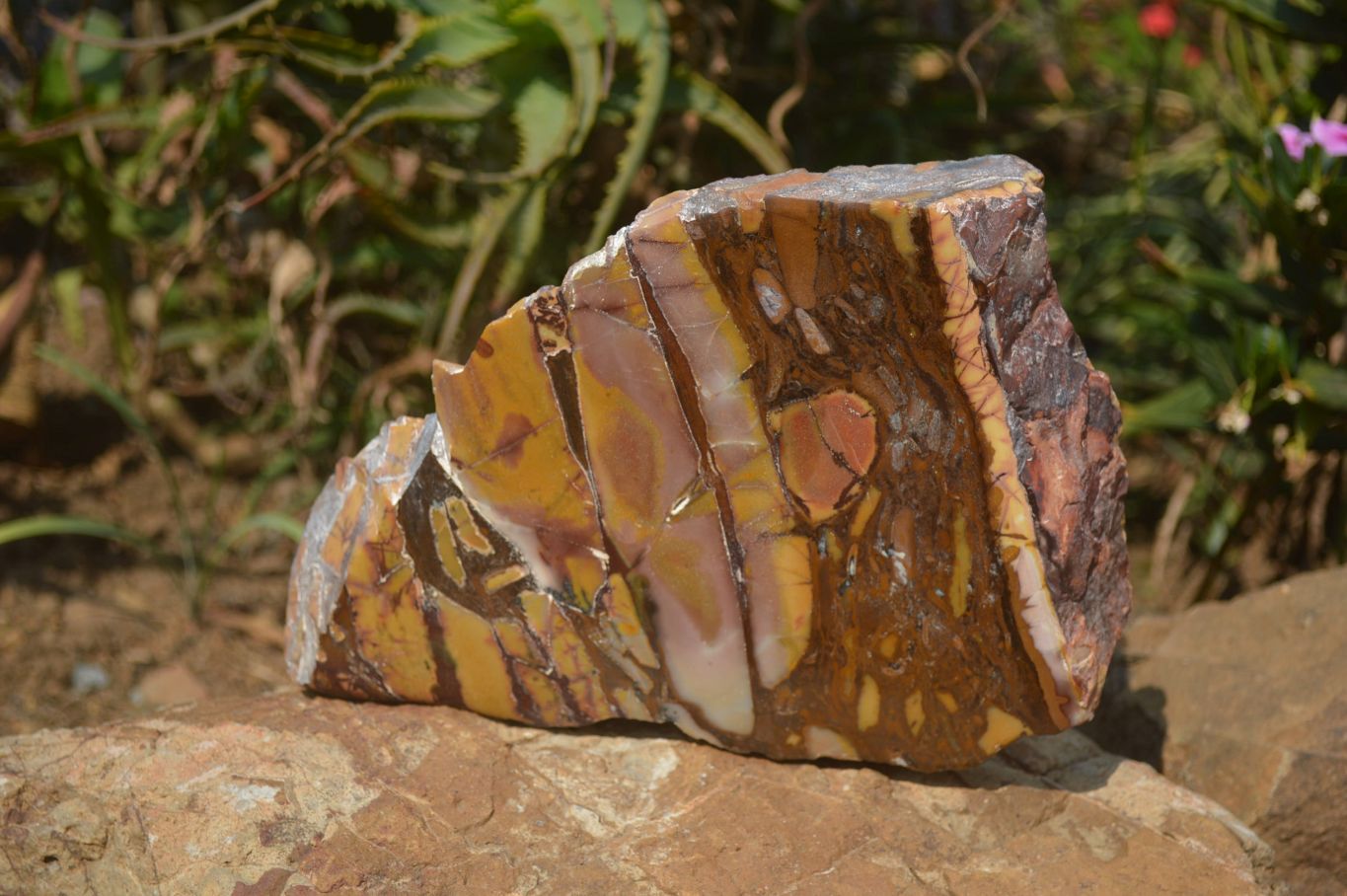 Polished On One Side Nguni Jasper Specimen x 1 From Prieska, South Africa - Toprock Gemstones and Minerals 