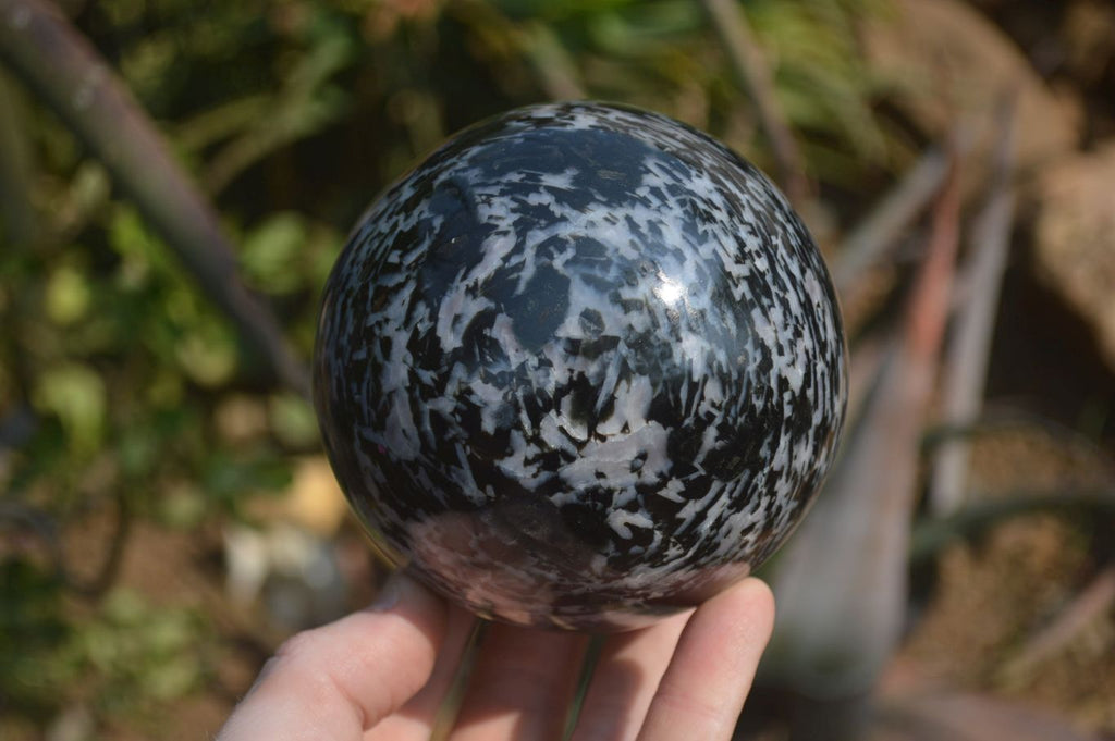 Polished Gabbro / Merlinite Sphere x 1 From Madagascar - Toprock Gemstones and Minerals 