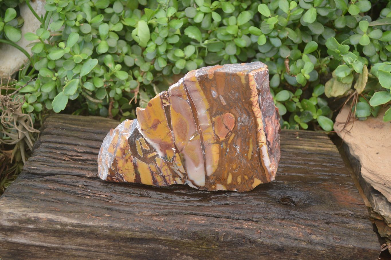 Polished On One Side Nguni Jasper Specimen x 1 From Prieska, South Africa - Toprock Gemstones and Minerals 