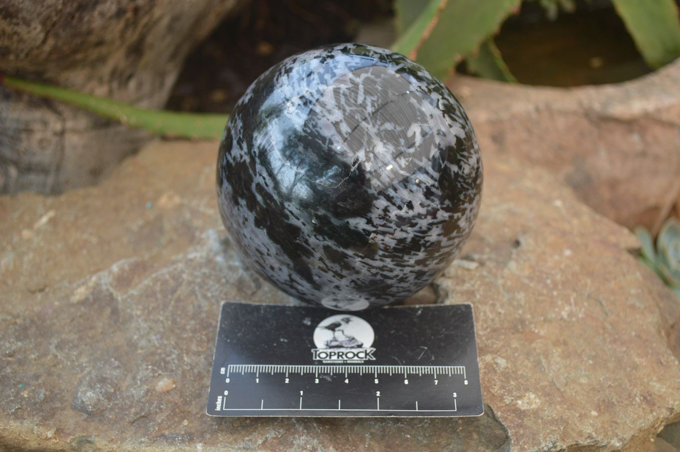 Polished Gabbro / Merlinite Sphere x 1 From Madagascar - Toprock Gemstones and Minerals 