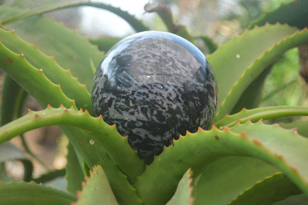 Polished Gabbro / Merlinite Sphere x 1 From Madagascar - Toprock Gemstones and Minerals 