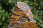Polished On One Side Nguni Jasper Specimen x 1 From Prieska, South Africa - Toprock Gemstones and Minerals 