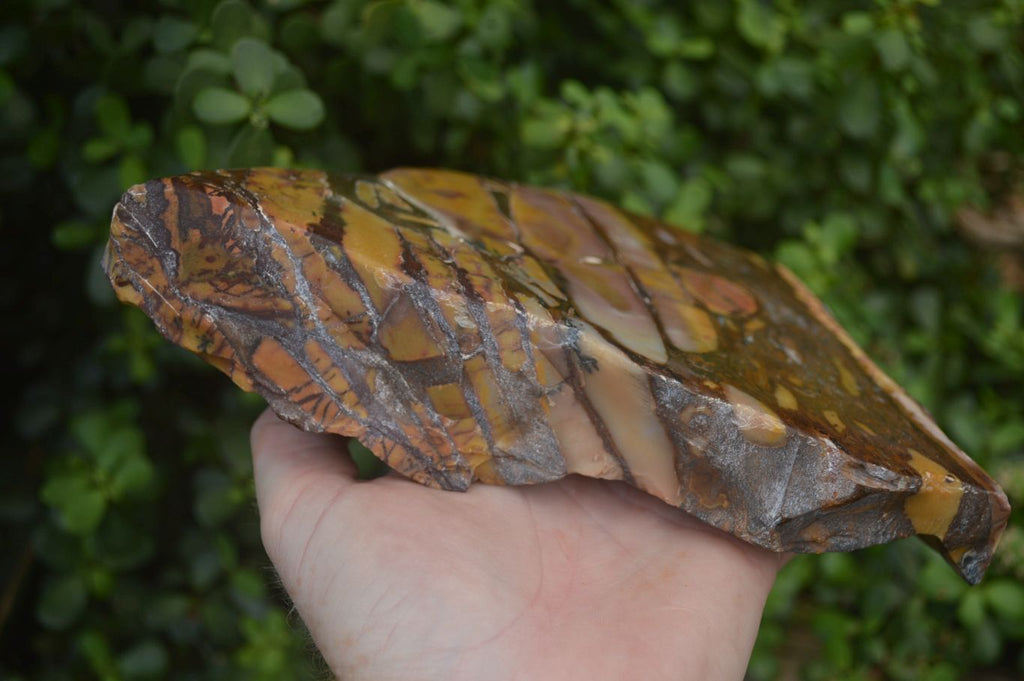 Polished On One Side Nguni Jasper Specimen x 1 From Prieska, South Africa - Toprock Gemstones and Minerals 