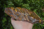 Polished On One Side Nguni Jasper Specimen x 1 From Prieska, South Africa - Toprock Gemstones and Minerals 