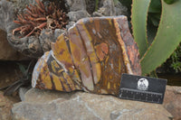 Polished On One Side Nguni Jasper Specimen x 1 From Prieska, South Africa - Toprock Gemstones and Minerals 