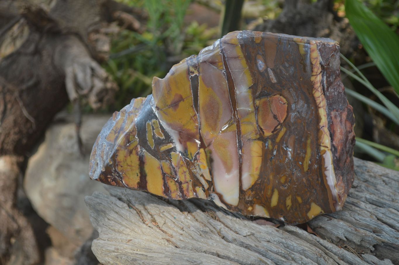 Polished On One Side Nguni Jasper Specimen x 1 From Prieska, South Africa - Toprock Gemstones and Minerals 