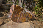 Polished On One Side Nguni Jasper Specimen x 1 From Prieska, South Africa - Toprock Gemstones and Minerals 