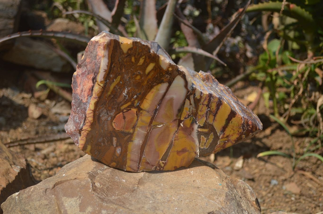 Polished On One Side Nguni Jasper Specimen x 1 From Prieska, South Africa - Toprock Gemstones and Minerals 